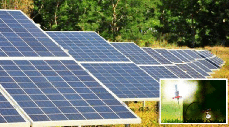 Residentes de Niquero denuncian trato desigual en los apagones: «En un lado ponen la corriente 5 horas y al otro la tienen casi siempre»