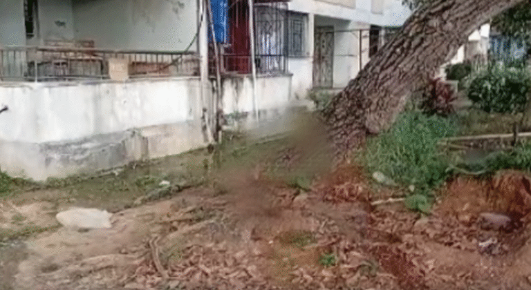 Vecinos del edificio 31 en Manzanillo denuncian que una obra mal ejecutada provocó un criadero de mosquitos: «Llevamos cuatro meses con aguas albañales a flor de tierra»