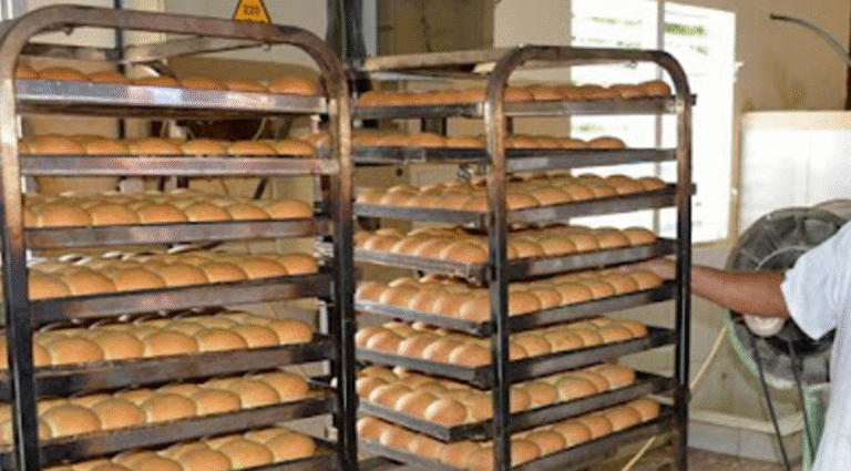 Padres de Yara denuncian que panadería recibe petróleo pero el pan no llega a los niños: «El administrador antes era un don nadie, ahora tiene tierras y abonos caros»