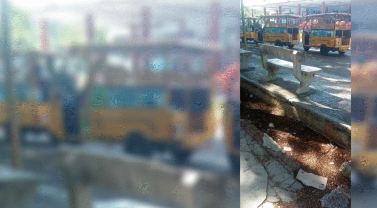 Ciudadano denuncia que ecotaxis en Manzanillo se niegan a trabajar con el público y solo buscan alquileres: “Los inspectores están comprometidos con los choferes”