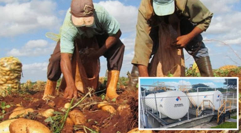 Denuncian desvío de 27,000 litros de diésel en Empresa Agropecuaria de Cienfuegos: Separaron al director, pero pusieron a su cómplice por ser hermano de la Delegada de Agricultura