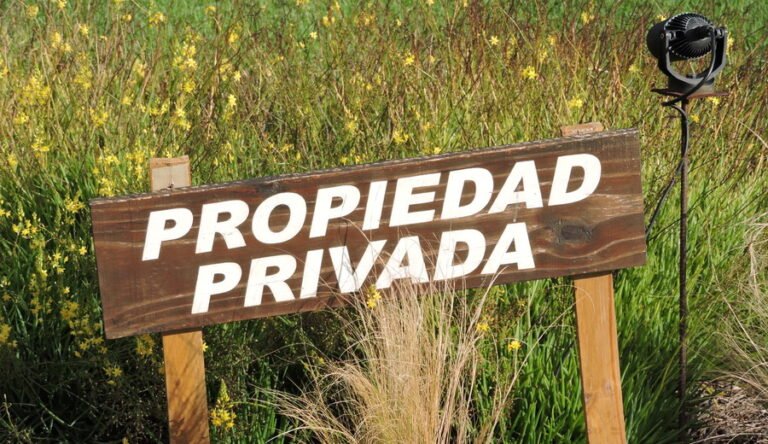 Propietaria de tierra en Yara denuncia que Ministerio de Agricultura y Dirección de Vivienda protegen a ocupantes ilegales desde hace siete años
