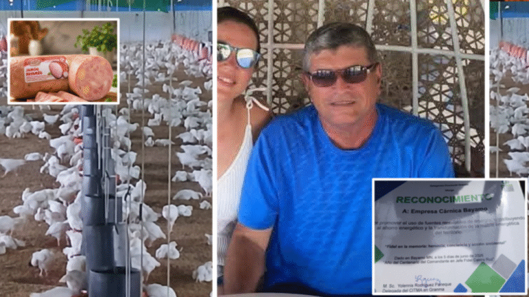 Denuncian al delegado del MINAL en Granma por corrupción y despilfarro: “Vive de espaldas al pueblo mientras el cárnico produce en dólares”