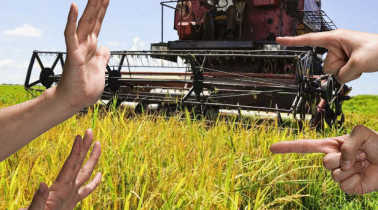Trabajador denuncia que viceintendente de Agricultura en Niquero lo acosó y el intendente lo protegió: “Se tapan con la misma sábana”