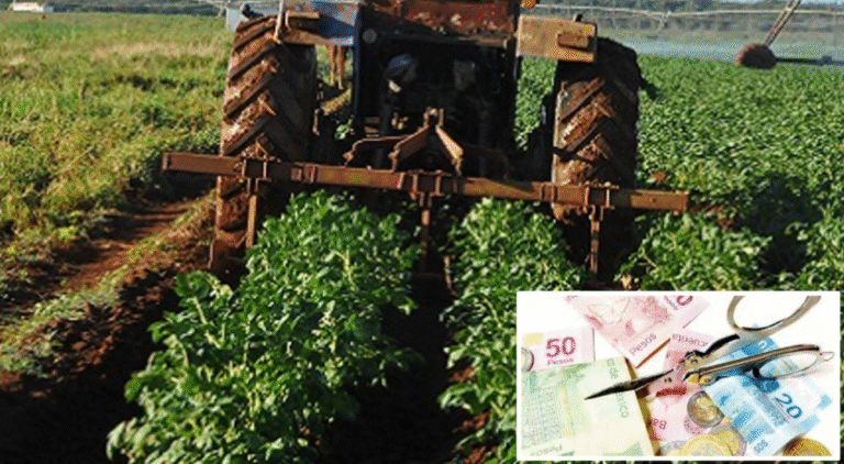 Denuncian a director de Empresa Agropecuaria de Güines por desvío de recursos, nepotismo y protección de altos oficiales del MININT