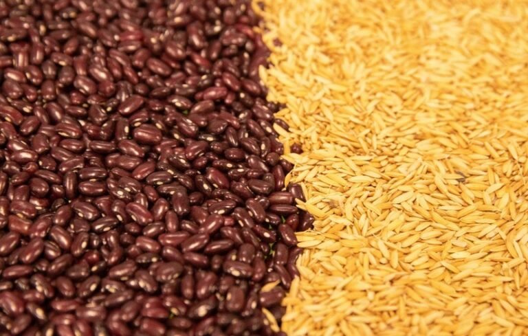 Denuncian que director de Empresa Agropecuaria en Güines desvió insumos para arroz y frijoles a campesinos pudientes inta-2