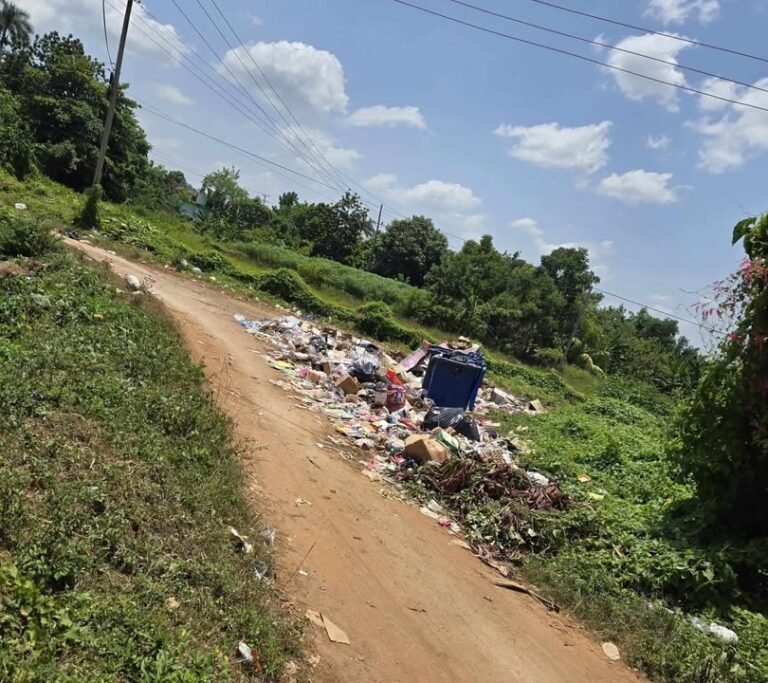 Vecinos de Viñales denuncian que la basura se acumula sin recogida y el agua se vende: "Hace más de tres meses que no llega a las casas" 775739776_966195719822862_6286293732671655053_n
