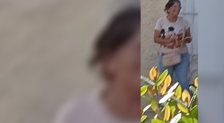 Denuncia contra Rosita, Presidenta del Consejo Popular Ampliación de Almendares en Playa, por Venta Ilegal de Viviendas y Bodegas Estatales Sin título
